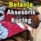 Paws, Style, and Whisker Magic: The Ultimate Guide to Cat Accessory Shopping in Medan