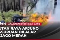 Wildfire Rages Across Mount Arjuno-Welirang Area Once Again Wildfire Rages Across Mount Arjuno-Welirang Area Once Again