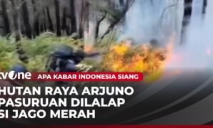 Wildfire Rages Across Mount Arjuno-Welirang Area Once Again