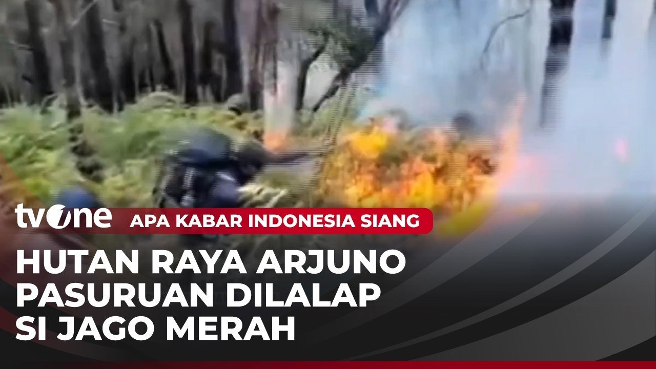 Wildfire Rages Across Mount Arjuno-Welirang Area Once Again